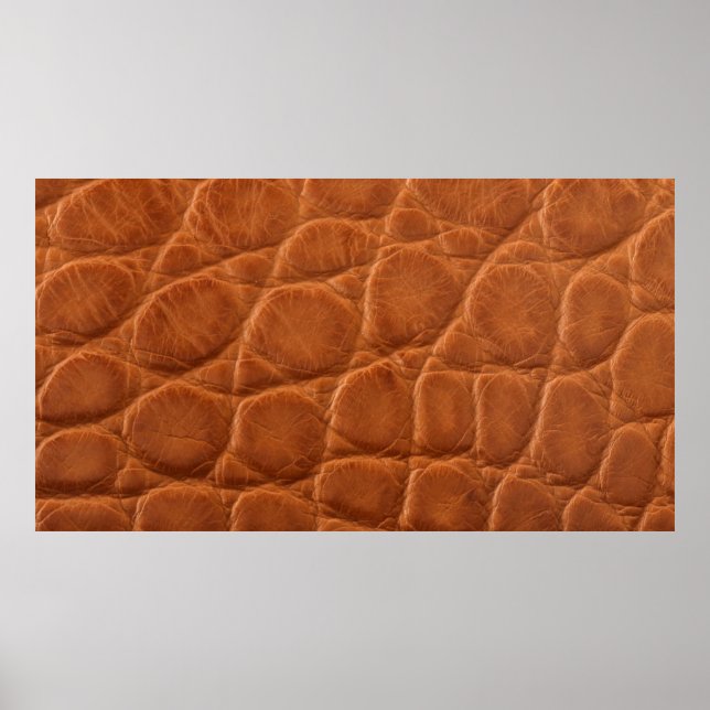 Reell äkta än brunt alligator-läder struktur, poster (Framsidan)