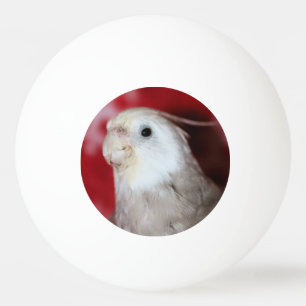 Reeples Pingisboll
