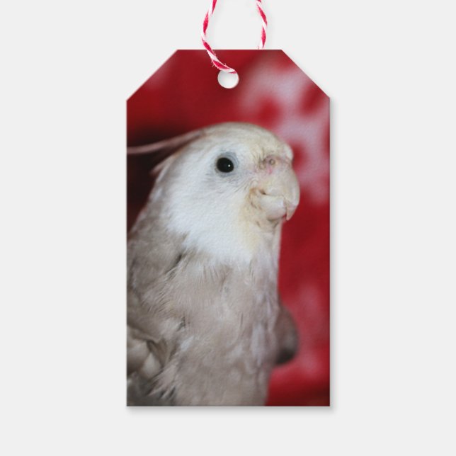 Reeples Presentetikett (Framsidan)