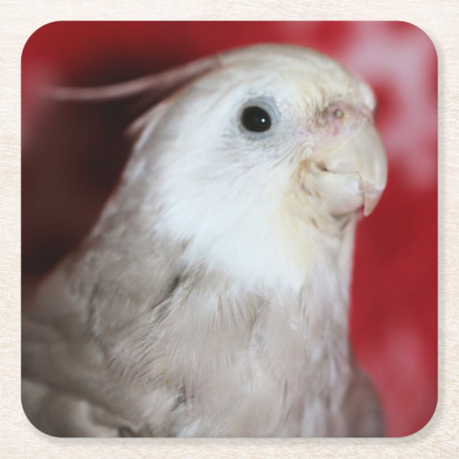 Reeples Underlägg Papper Kvadrat (Framsidan)