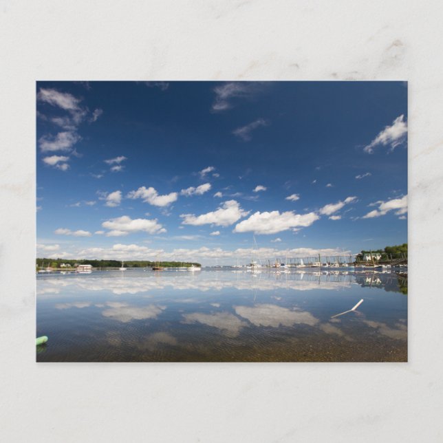Reflection at the Harbour of Belfast, Maine Vykort (Framsida)