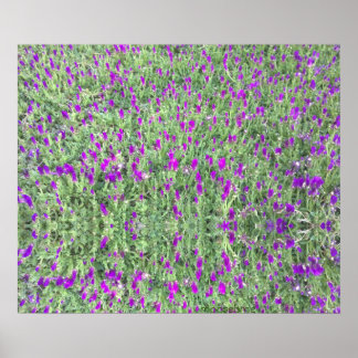 Reflection Print för lila Flower Patch 24x20 Poster