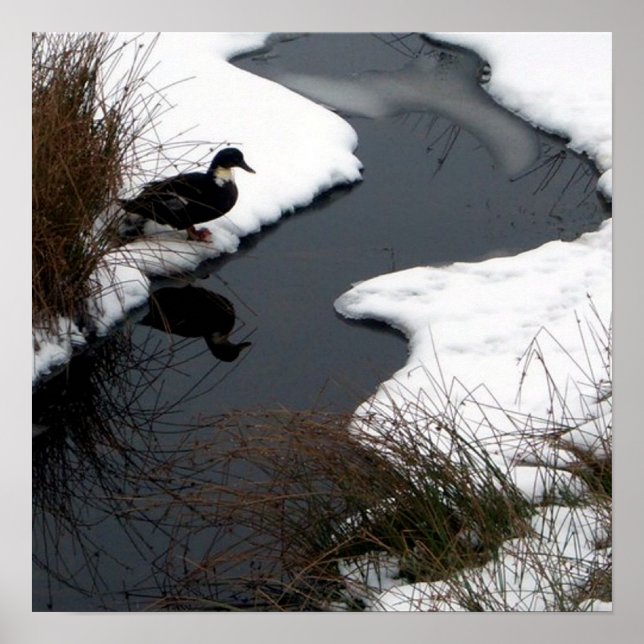 Reflektera Poster (Framsidan)