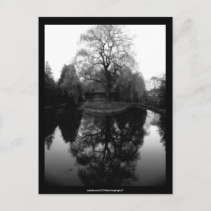 Reflektera Willow Black&white - vykort