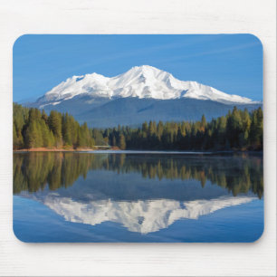 REFLEKTERAD MONTERINGSSHASTA MUSMATTA