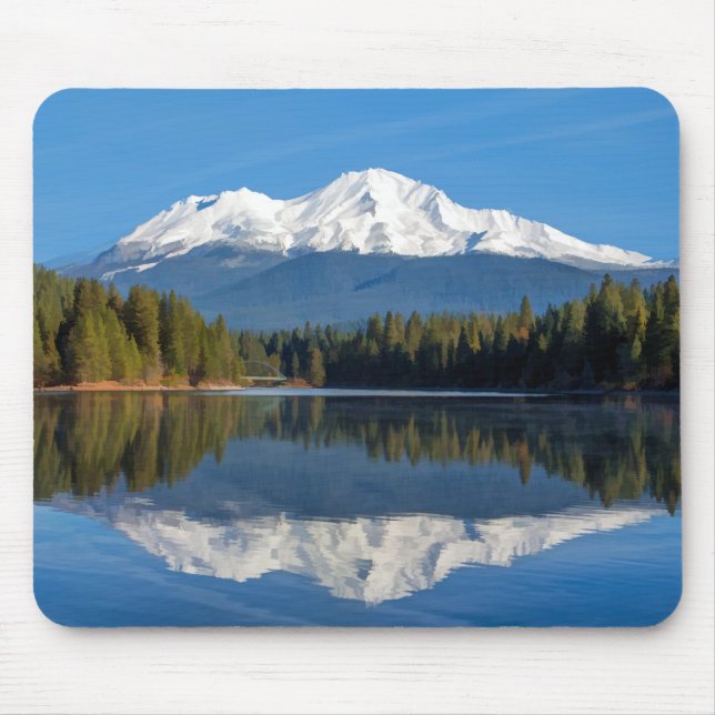 REFLEKTERAD MONTERINGSSHASTA MUSMATTA (Framsidan)
