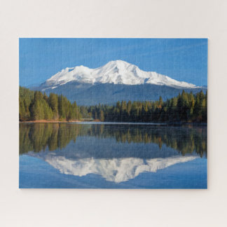 REFLEKTERAD MONTERINGSSHASTA PUSSEL