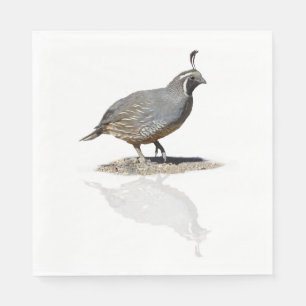 REFLEKTERADE KALIFORNIEN QUAIL PAPPERSSERVETT