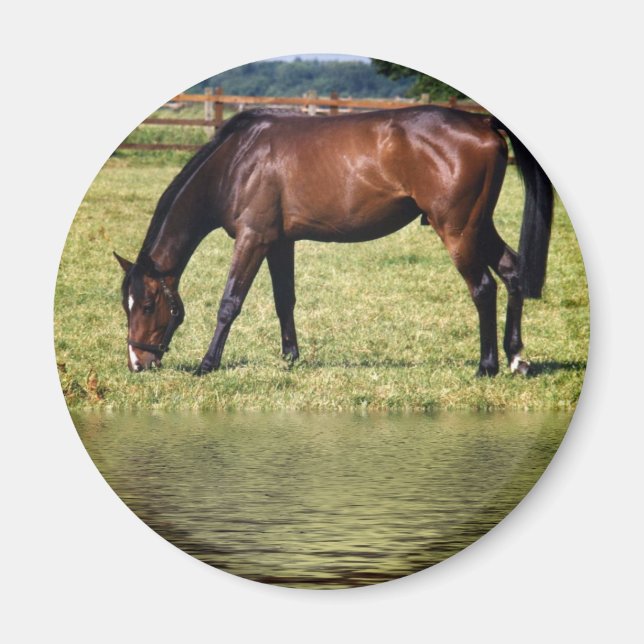 Reflekterande Bay Magnet (Framsidan)