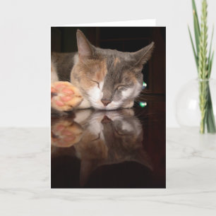 Reflekterande kattunge kort