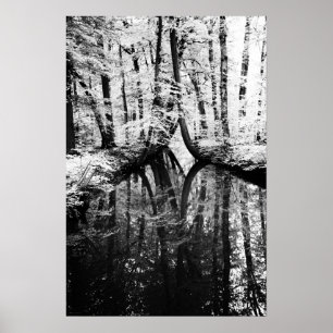 Reflekterande kontrast Poster
