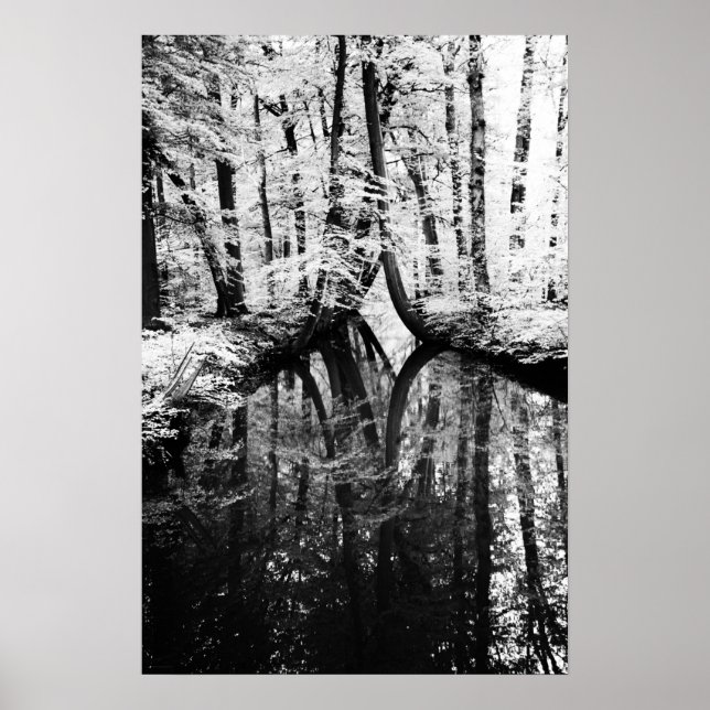 Reflekterande kontrast Poster (Framsidan)