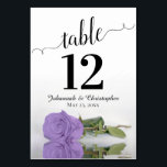 Reflekterande Lavender Lila Ro Elegant bröllop Bordsnummer<br><div class="desc">De vackra bordsnumren gör det enkelt för dina gäster att hitta sina platser på bröllopsmottagningen. Har en fantastisk design med lacy script calligraphy och en enda lavender lila färgad ro som ljuger på sidan med räfflor vinkara och reflektioner. Det finns utrymme för parets datum namn och bröllop.</div>