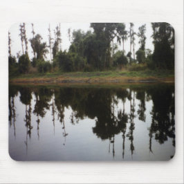 Reflekterande på floden musmatta
