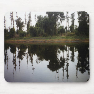 Reflekterande på floden musmatta