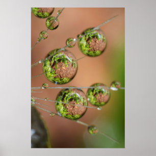 Reflektion av droplet-droplet i vatten poster