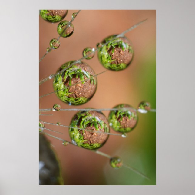 Reflektion av droplet-droplet i vatten poster (Framsidan)