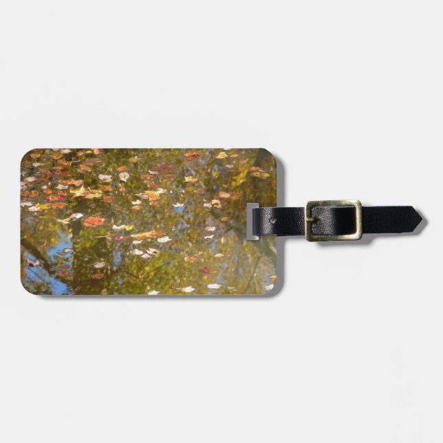 Reflektion av höst löv och ström vid Greenbelt Bagagebricka (Horisontell Framsida)