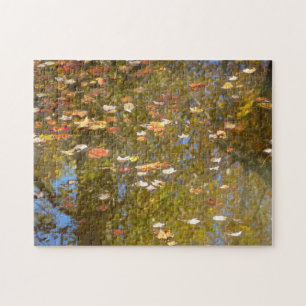 Reflektion av höst löv och ström vid Greenbelt Pussel