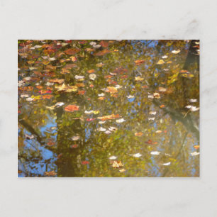 Reflektion av höst löv och ström vid Greenbelt Vykort