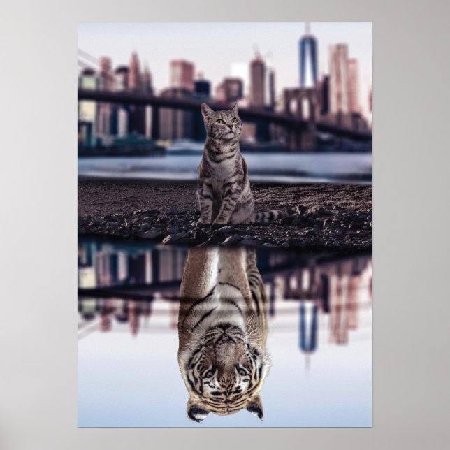 Reflektion av katt och tiger Vatten - Framgång, hu Poster (Framsidan)