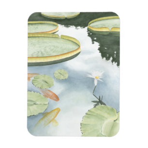 Reflektion av Koi Pond med fisk och lilier Magnet
