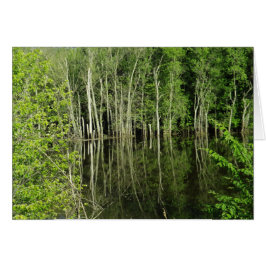 Reflektion av Träd i Vatten-fotografiblankkort Hälsningskort