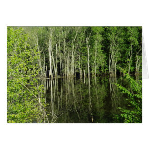 Reflektion av Träd i Vatten-fotografiblankkort Hälsningskort