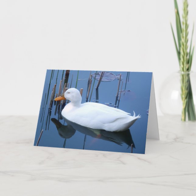 Reflektion av vit Anka vid sömn Kort (Framsida)