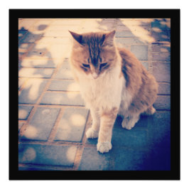 Reflektion Fototryck