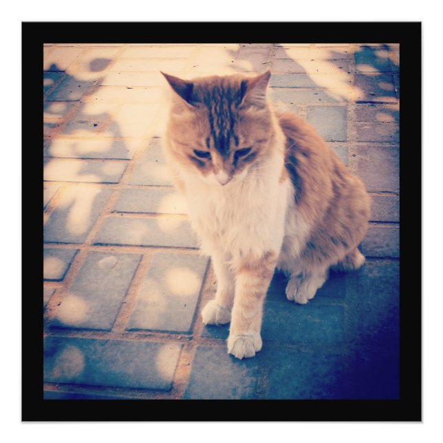 Reflektion Fototryck (Framsidan)