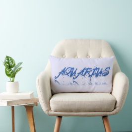 Reflektion från Aquarius Lumbarkudde