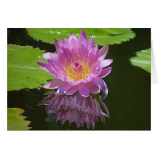 Reflektion från ro OBS kort