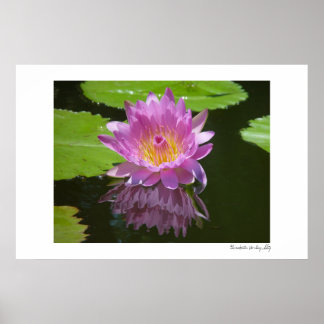 Reflektion från ro poster