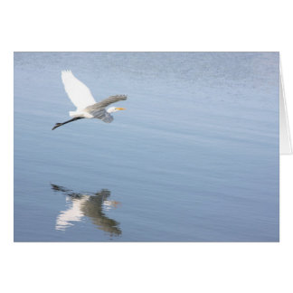 Reflektion Hälsningskort