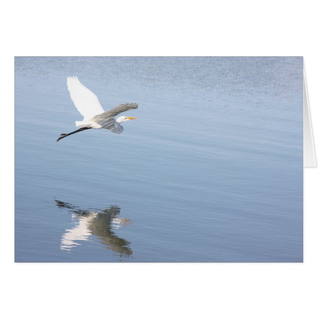 Reflektion Hälsningskort (Framsidan Horizontal)