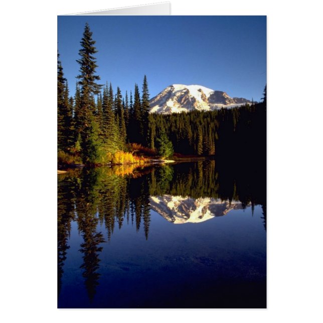 Reflektion Hälsningskort (Framsidan)