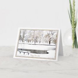 Reflektion: I det nya året: Boston Public Garden Helgkort