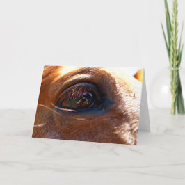 Reflektion i Horses Öga Kort