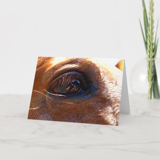 Reflektion i Horses Öga Kort (Framsida)