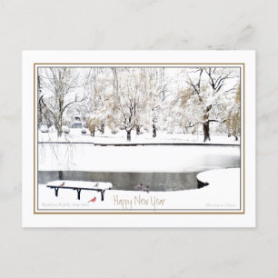 Reflektion: I Nyår: Boston Public Garden Helg Vykort