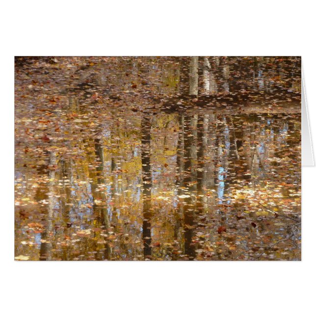 Reflektion i Still Creek vid Greenbelt Park Hälsningskort (Framsidan Horizontal)