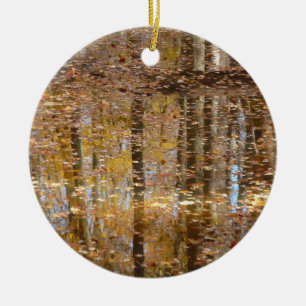 Reflektion i Stilla Bäck vid Greenbelt Park Julgransprydnad Keramik