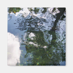 Reflektion i Sturgeon Pond Magnet