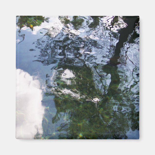 Reflektion i Sturgeon Pond Magnet (Framsidan)