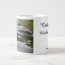 Reflektion i Tabernacle-fönstret - Martha's Vineya