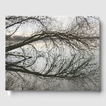 Reflektion: Mind Edition