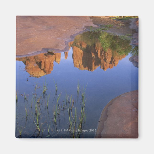 Reflektion över Cathedral Sten, Sedona, Arizona Magnet (Framsidan)