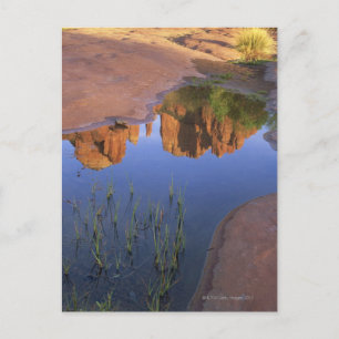 Reflektion över Cathedral Sten, Sedona, Arizona Vykort