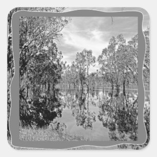 Reflektion över Träd i Black White Photo Gum Fyrkantigt Klistermärke